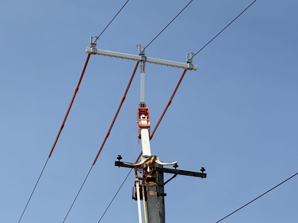 LineWise TLL