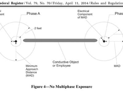 Figure 4 Web
