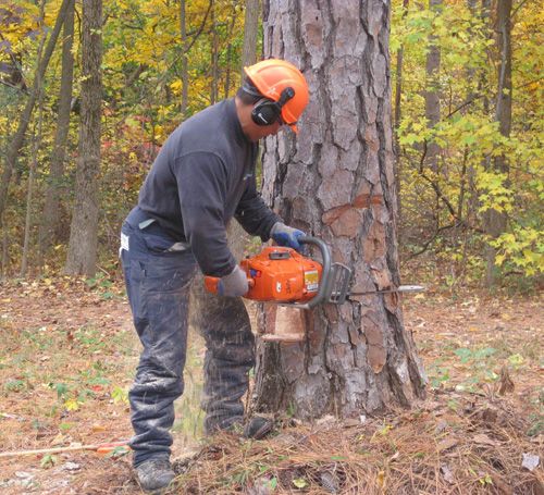 Measuring, Planning and Cutting Methods for Chainsaw Operators