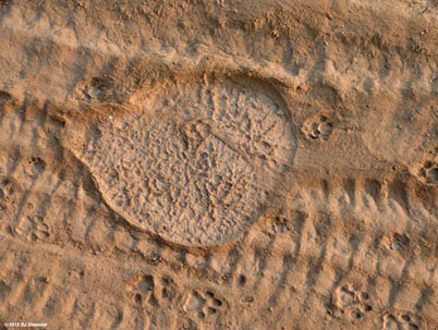 footprintsHiRes