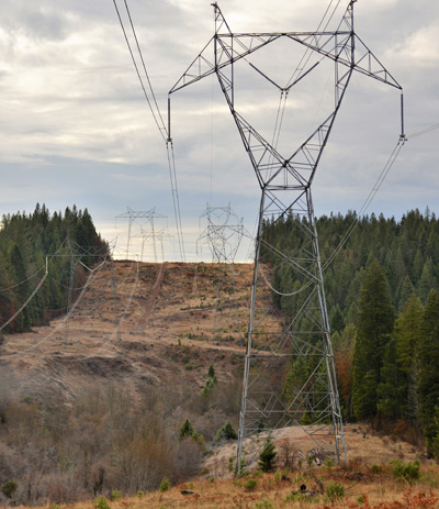 Web-Right-of-Way.jpg