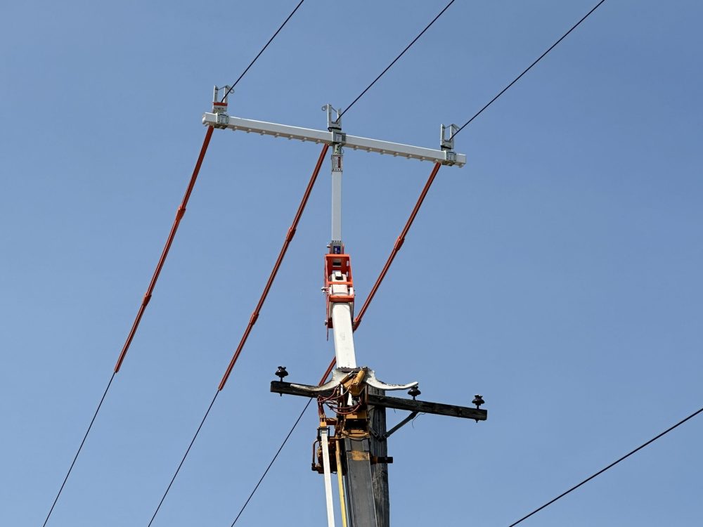 LineWise TLL