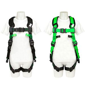 Buckingham Harnesses WEB