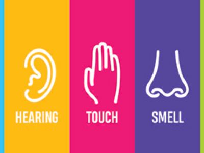 Web-5-senses-art.jpg