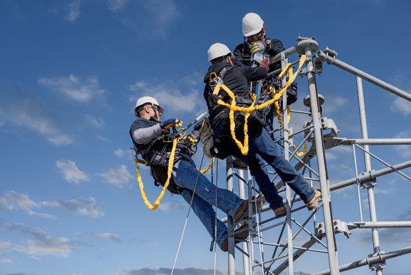 Guardian Harness