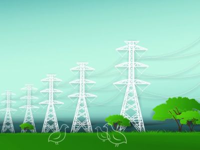 Joshua Reilly - June-July 2023