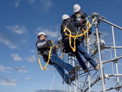 Guardian Harness