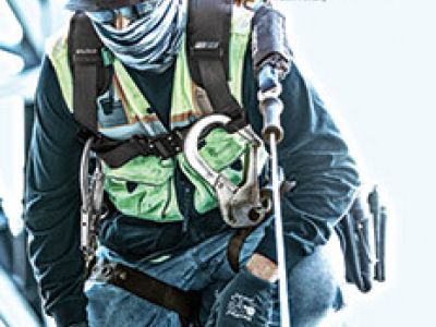 FallTech Harness WEB